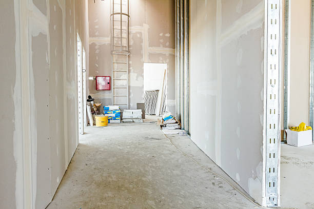 Best Drywall Sanding and Smoothing  in Iola, WI